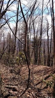 0000 Hawks Ridge Drive Lot J Sec 6 sold home in Hawks Ridge, Whittier, NC
