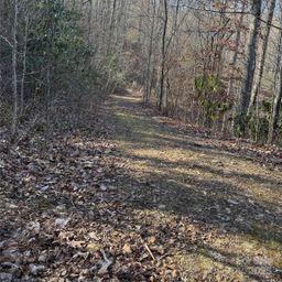 Lot 41 S Country Club Drive