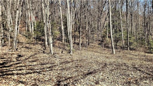 0000 Parchment Lane 5-4 sold home in Hemlock Falls, Sylva, NC