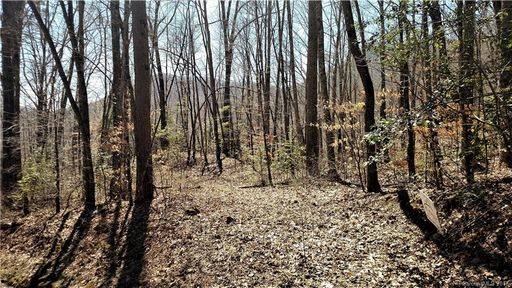 0000 Hemlock Falls Drive 1 sec 4