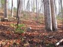 00 Sandpiper Palisades Street 98 sold home in Hendersonville, SC