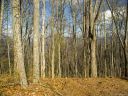Lot 11 Signature Row Boulevard sold home in Waynesville, SC