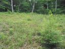 9999 Valley Vista Drive 34 sold home in Asheville, SC