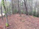 12 Rock Moss Drive sold home in Cullowhee, SC