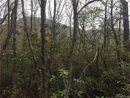 9999 Old Mill Road 13