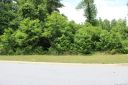 70 Mistletoe Trail sold home in Hendersonville, SC