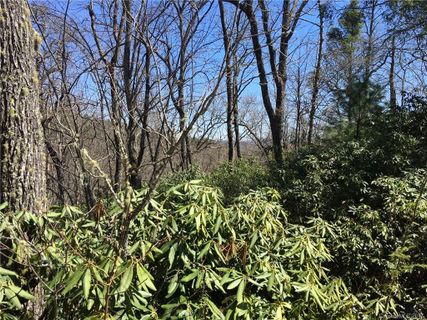M80 Pine Mountain Trail