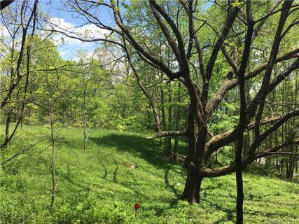 00 Walnut Creek Road 21 sold home in Walnut Creek, Waynesville, NC