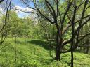 00 Walnut Creek Road 21 sold home in Waynesville, SC