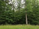 7180 Empire Drive sold home in Mount Pleasant, SC