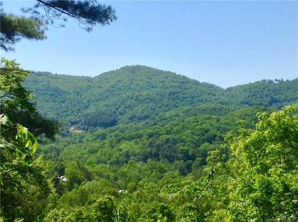 9999 Black Oak Drive 23 sold home in The Forest, Asheville, NC