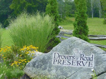309 Flying Cloud Lane 17 sold home in Drovers Road Preserve, Fairview, NC