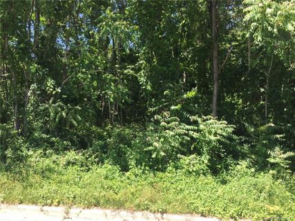 9999 Brevard Road