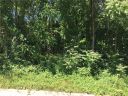 9999 Brevard Road sold home in Asheville, SC