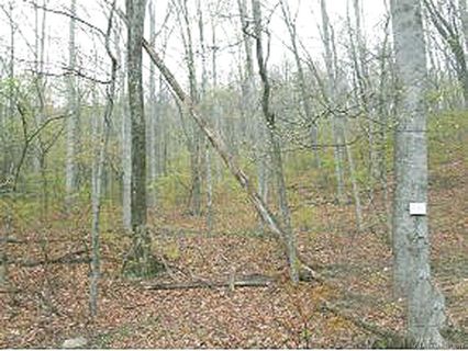 80 Whiteside Trail