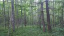 Lot 19 Little Creek Lane sold home in Maggie Valley, SC
