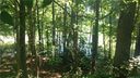 Lot 37 Elysian Drive sold home in Mooresville, SC
