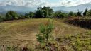 2 Hawk Mountain Road sold home in Waynesville, SC