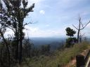 7086 Silver Creek Lane Lot 21 sold home in Morganton, SC