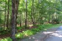Lot 1 Sassafras Road sold home in Cedar Mountain, SC