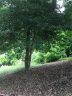 69 Providence Road sold home in Asheville, SC