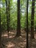 3861 Skyuka Mountain Road 16 sold home in Columbus, SC