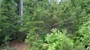 162 Rushing Water Lane 12 sold home in Troutman, SC