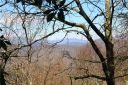 99999 Crystal Falls Drive sold home in Fairview, SC