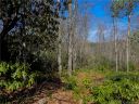 000 Pack Drive 15 sold home in Spruce Pine, SC