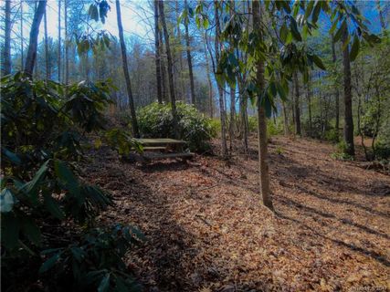 Tbd Pack Drive 8 sold home in Wolf Ridge Estates, Spruce Pine, NC