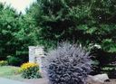 21 Maple Spring Court sold home in Denver, SC