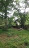 19 Lucerne Avenue sold home in Asheville, SC