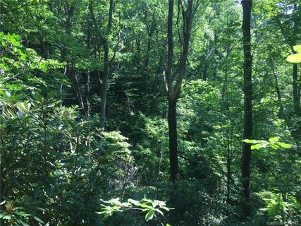 240 Lakey Gap Acres Road sold home in Lakey Gap Acres, Black Mountain, NC