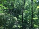 240 Lakey Gap Acres Road sold home in Black Mountain, SC