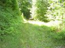35 Trickle Creek Road sold home in Waynesville, SC