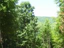 14 Bow N Arrow Cove sold home in Waynesville, SC