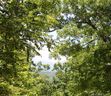999 Prospectors Trail sold home in Black Mountain, SC