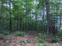 2 Ridge Drive sold home in Saluda, SC