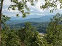 9 Soaring Hawk View 15 sold home in Asheville, SC