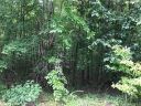 3687 Burton Street sold home in Sherrills Ford, SC
