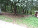 9999 Holly Avenue sold home in Black Mountain, SC