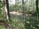 78 Abbey Lane #21 sold home in Hendersonville, SC