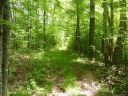 Tbd Running Bear Road sold home in Hot Springs, SC