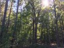 Lot 2 Prince Valiant Drive sold home in Marvin, SC