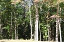 Lot 17 Ridgebrook Drive sold home in Mooresville, SC