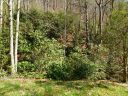 00 Andrew Lane sold home in Canton, SC