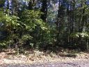 Lot 77 Kings Drive sold home in Harrisburg, SC