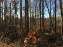 178 Con Lee Drive sold home in Olin, SC