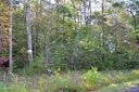 Vl 4 James View Road sold home in Marion, SC