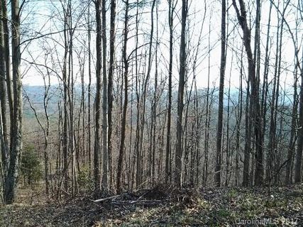 0 Tekakwitha Trail 7,8 sold home in Indian Forest, Bostic, NC